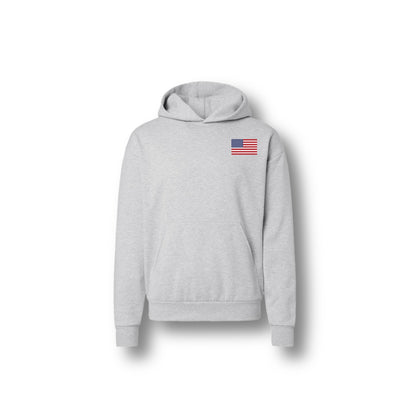 WITH LIBERTY AND JUSTICE FOR ALL HOODIE ASH GREY